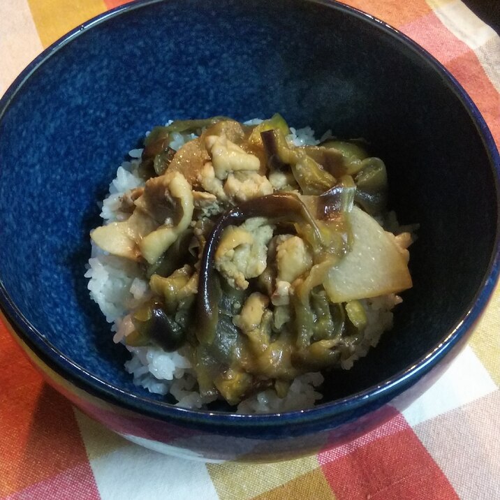 味染み☆鶏もも肉とナスの丼ぶり